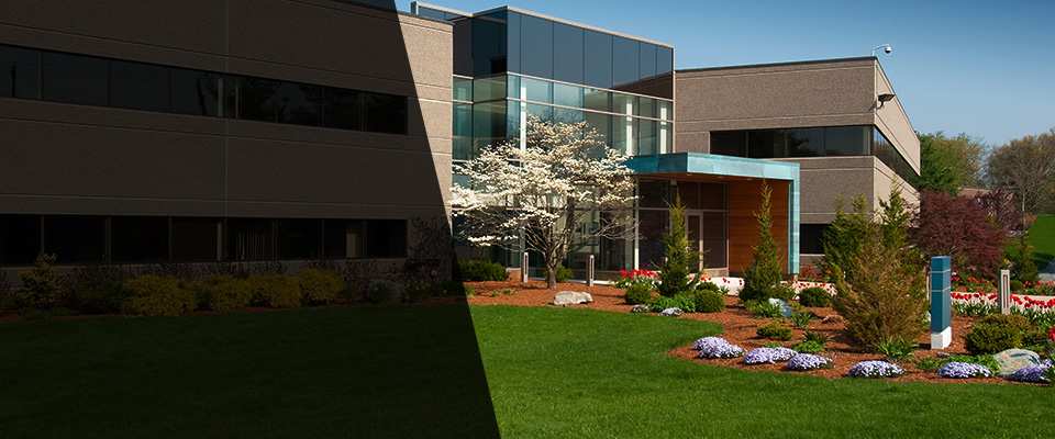 Weirsdale Landscapers