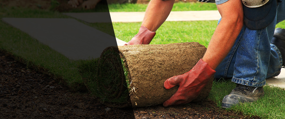 Weirsdale Landscapers